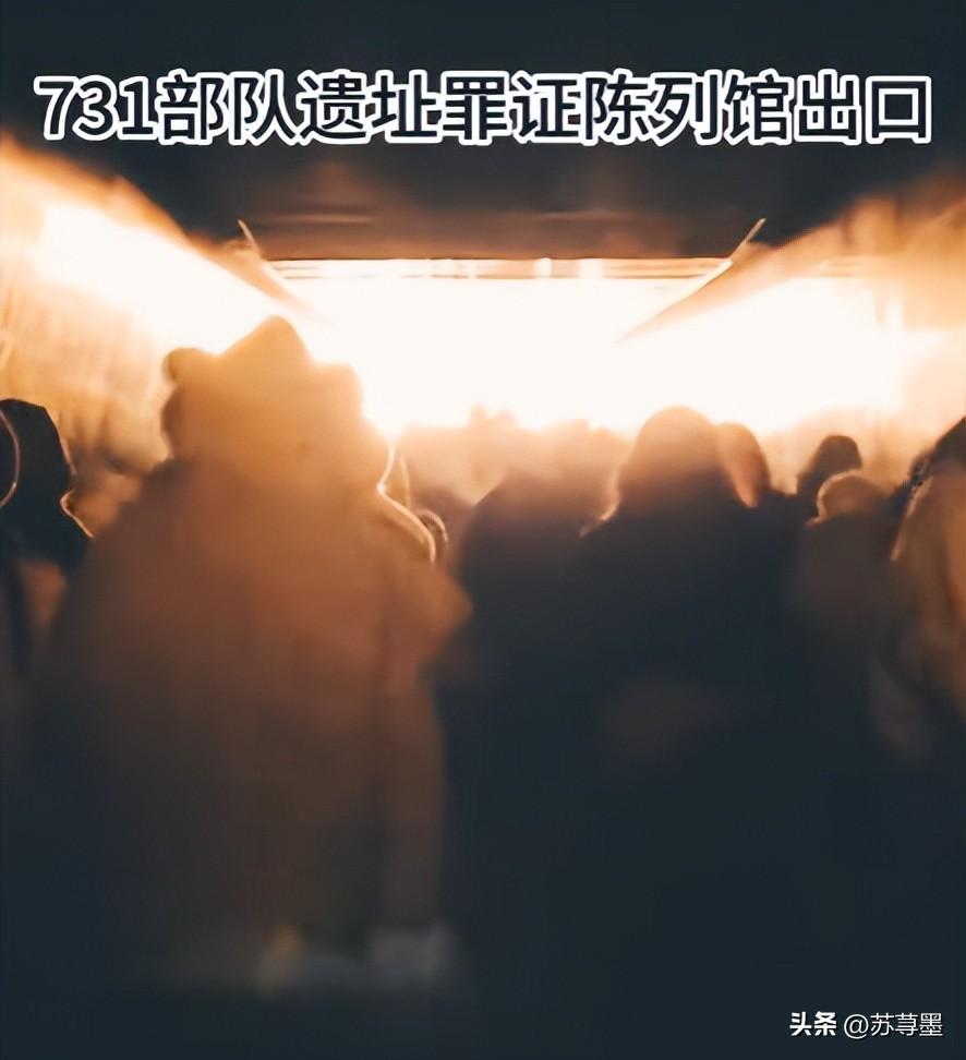 令人恶心的一幕出现了，731火了，有人开始给钱求删帖，是间谍吗(图32)