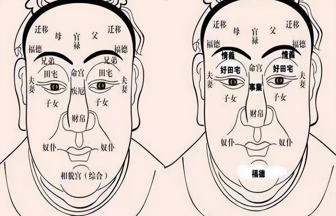 “娶妻不娶颧骨高，嫁汉不嫁连眉梢”，颧骨和眉毛，能看出啥？(图10)