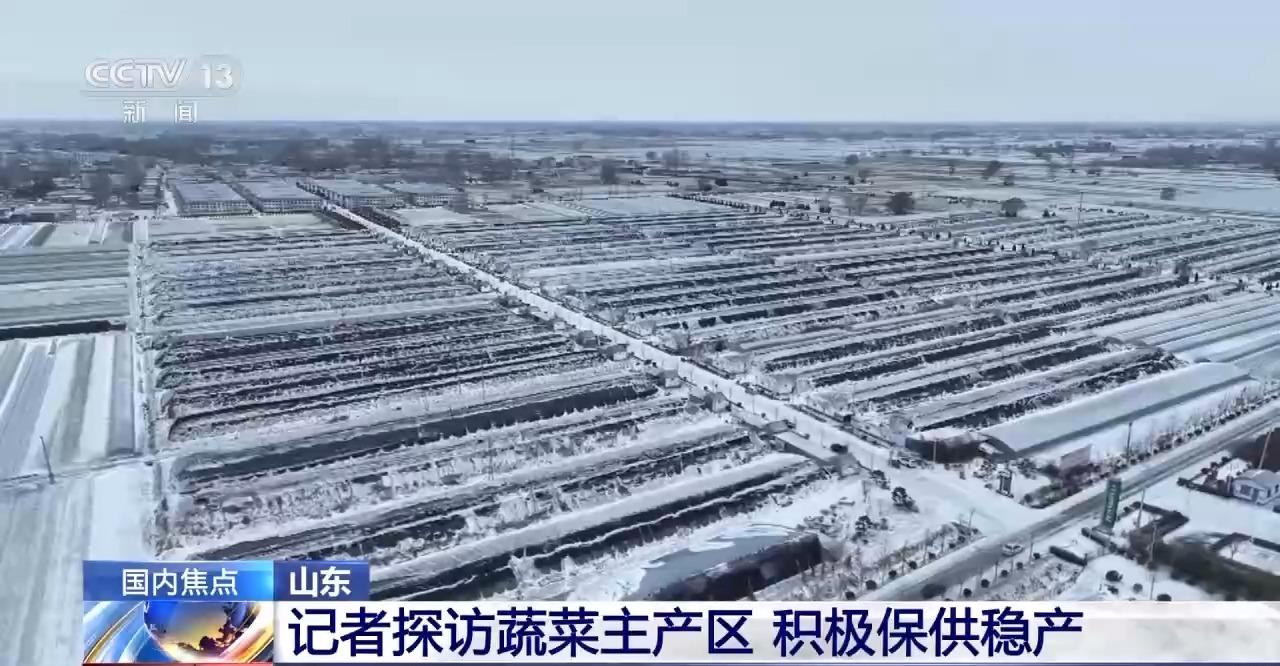 山东多地普降大雪 蔬菜如何做到价稳量足？(图2)