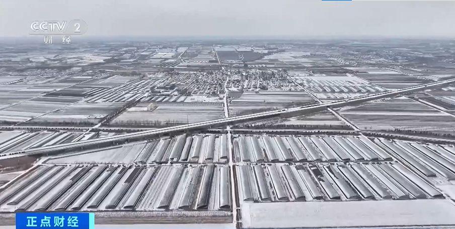 雨雪冰冻天气对冬小麦有何影响？专家提醒→(图3)