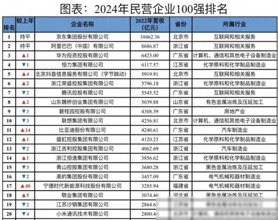 中国民营企业百强榜2024：大洗牌(图1)