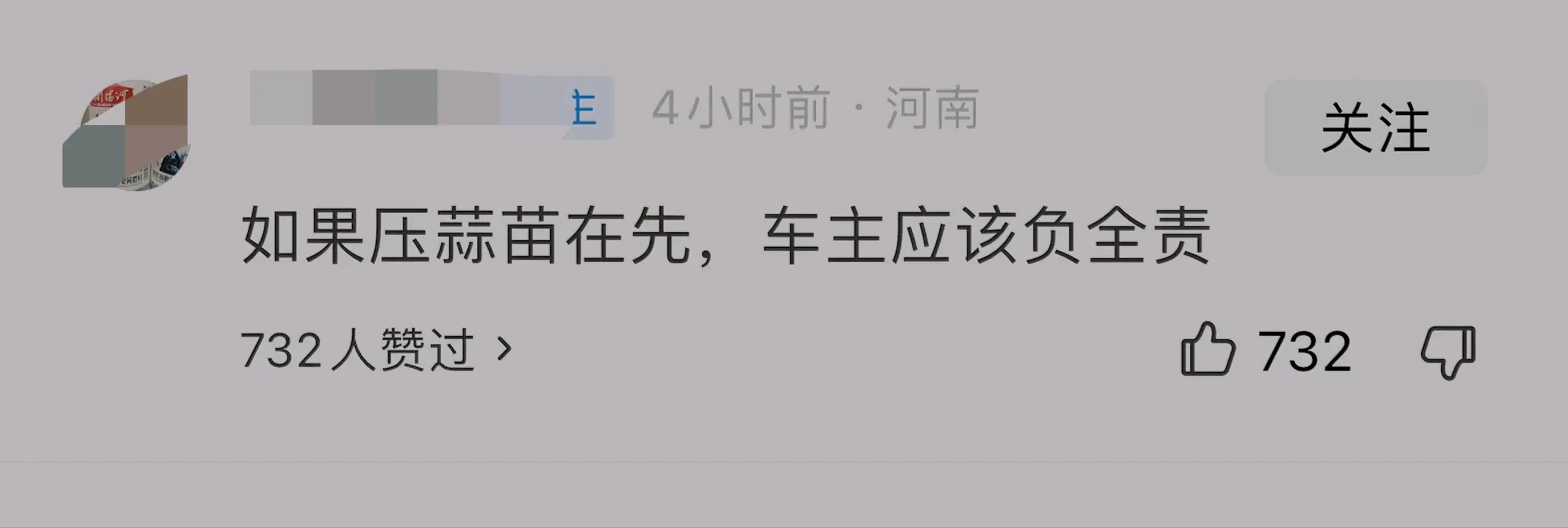 百万奔驰压蒜苗！村民“大妈”怒砸车，你压我蒜苗，我砸你豪车？(图4)