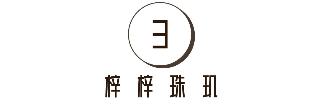 石碑、狮身人面像还是“圣书体”？古埃及人有何记忆管理的秘密？(图23)