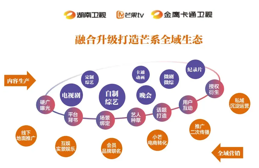 十年磨一剑，芒果TV如何成为湖南广电的主力军？(图4)