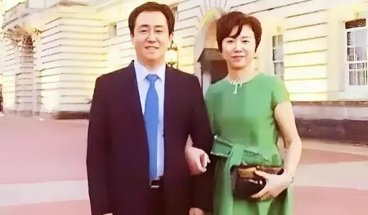 令人费解的许家印轻判，本以为会判死刑，为何却只有罚款？(图6)